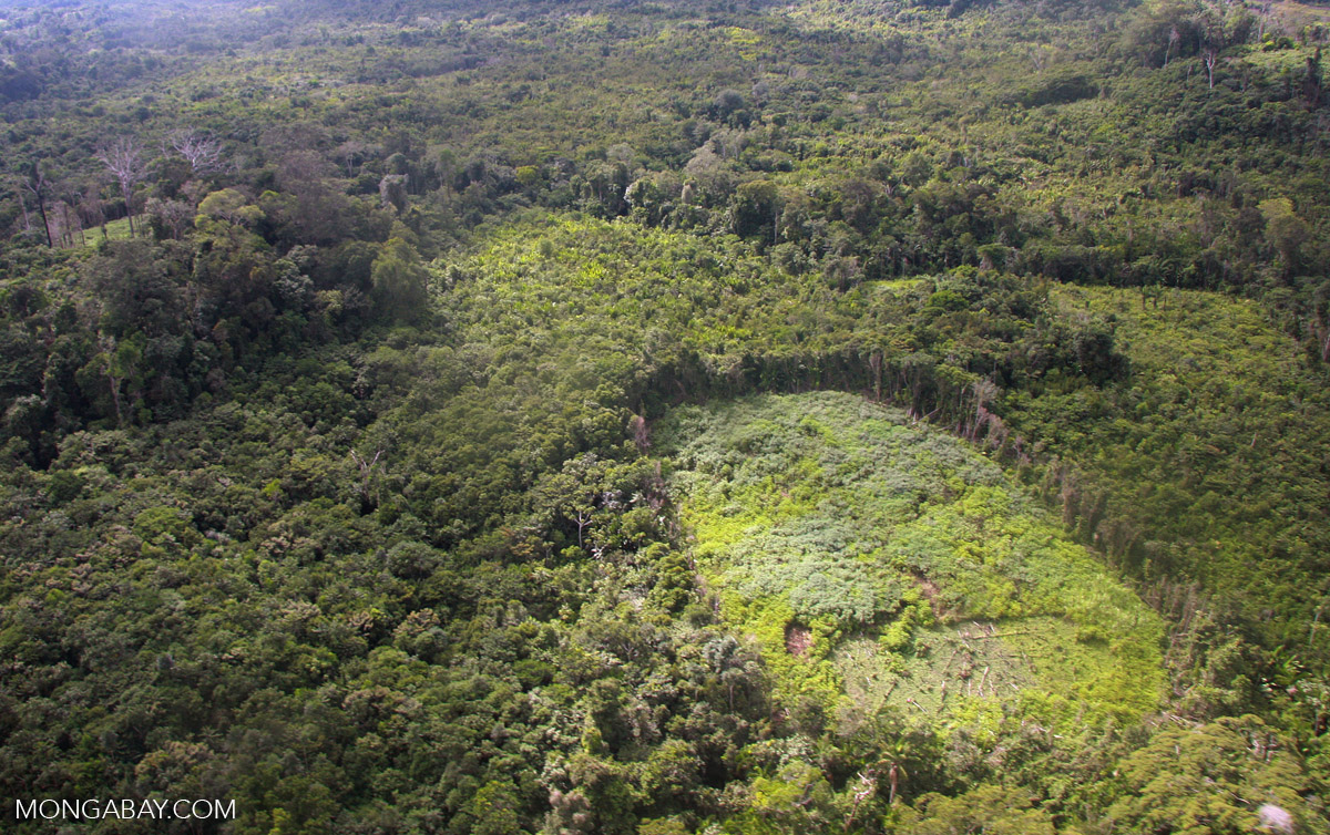 Shifting agriculture