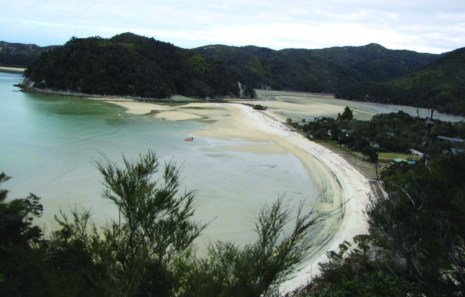 Book of the Week: Pikelets at Abel Tasman