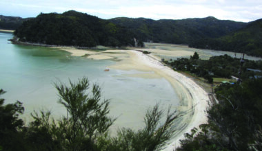 Book of the Week: Pikelets at Abel Tasman