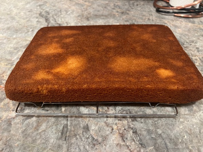 A cooked sponge, turned out onto a cooling rack.