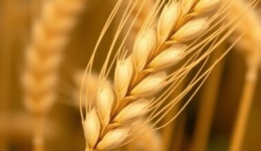Uncovering the Genetic Blueprint Behind Condensed Tannin Accumulation in Wheat Grains