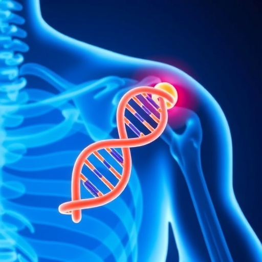 Unraveling the Link: Genetic Connections Between Osteoporosis and Rotator Cuff Tears