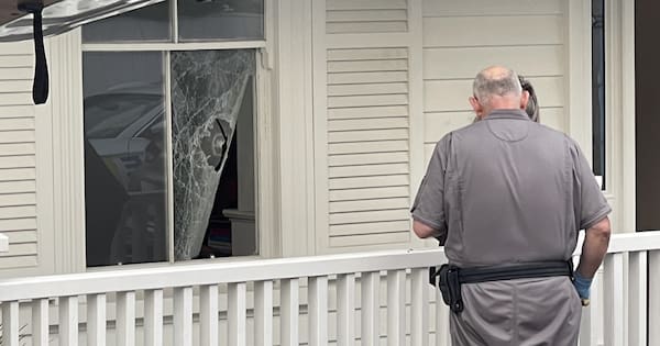Vandal smashes window of Winston Peters' house