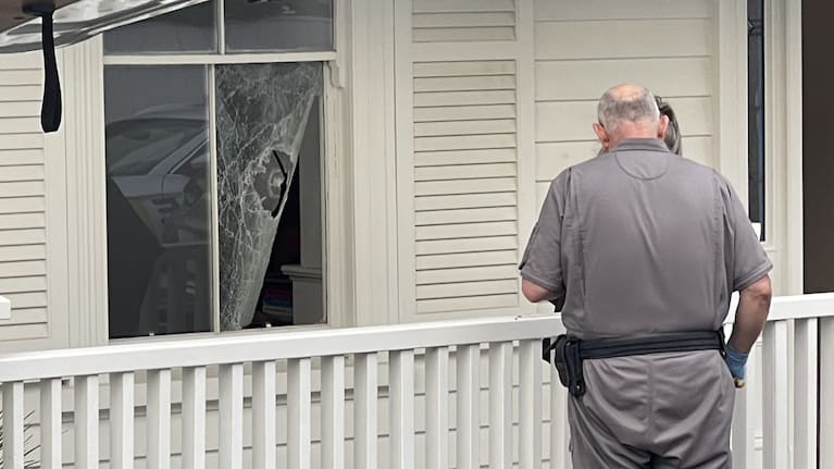 A window of Foreign Affairs Minister Winston Peters' Auckland home was smashed, sending glass shattering all over the family dog.