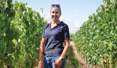 Progress and leadership in New Zealand's wine industry