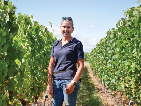 Progress and leadership in New Zealand's wine industry