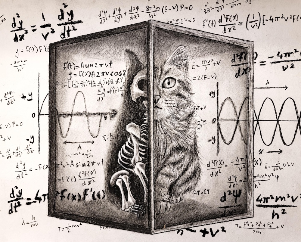 Illustration of Schrödinger’s cat half alive and half skeletal in a box, surrounded by complex physics equations