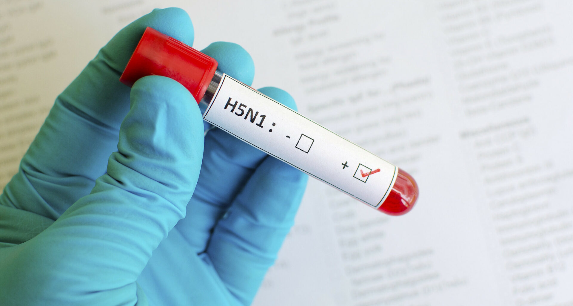 Slovakia reports bird flu outbreak on northern farm