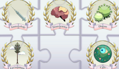 Understanding complexity through Center for Biocomputing, Security and Society