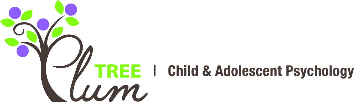 Plum Tree Leads the Way in Team-Based Child Therapy and Multidisciplinary Testing