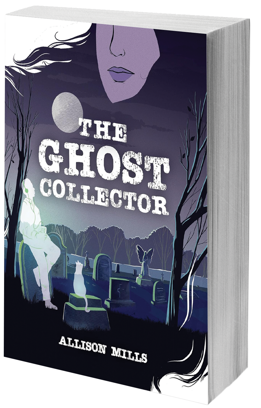 book cover ghost in a graveyard