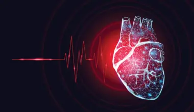 A single protein could stop sudden death after heart attacks