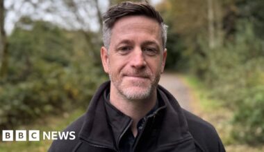 Northern Ireland failing to meet tree planting targets