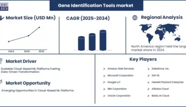 Cloud-Based Machine Learning (ML) Platforms Market Revenue Statistics