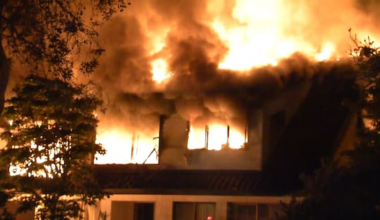 Bodies recovered after fatal Auckland house fire, probe continues