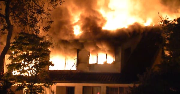 Bodies recovered after fatal Auckland house fire, probe continues