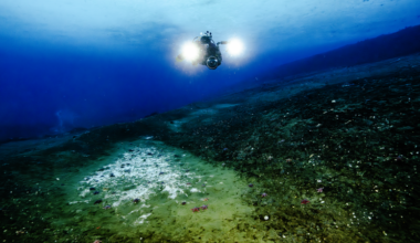 Scientists discover methane leaking out from beneath the ocean around Antarctica