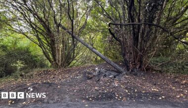 A burnt telegraph pole learning at 45 degrees surrounded by scorched bushes and scorched soil.