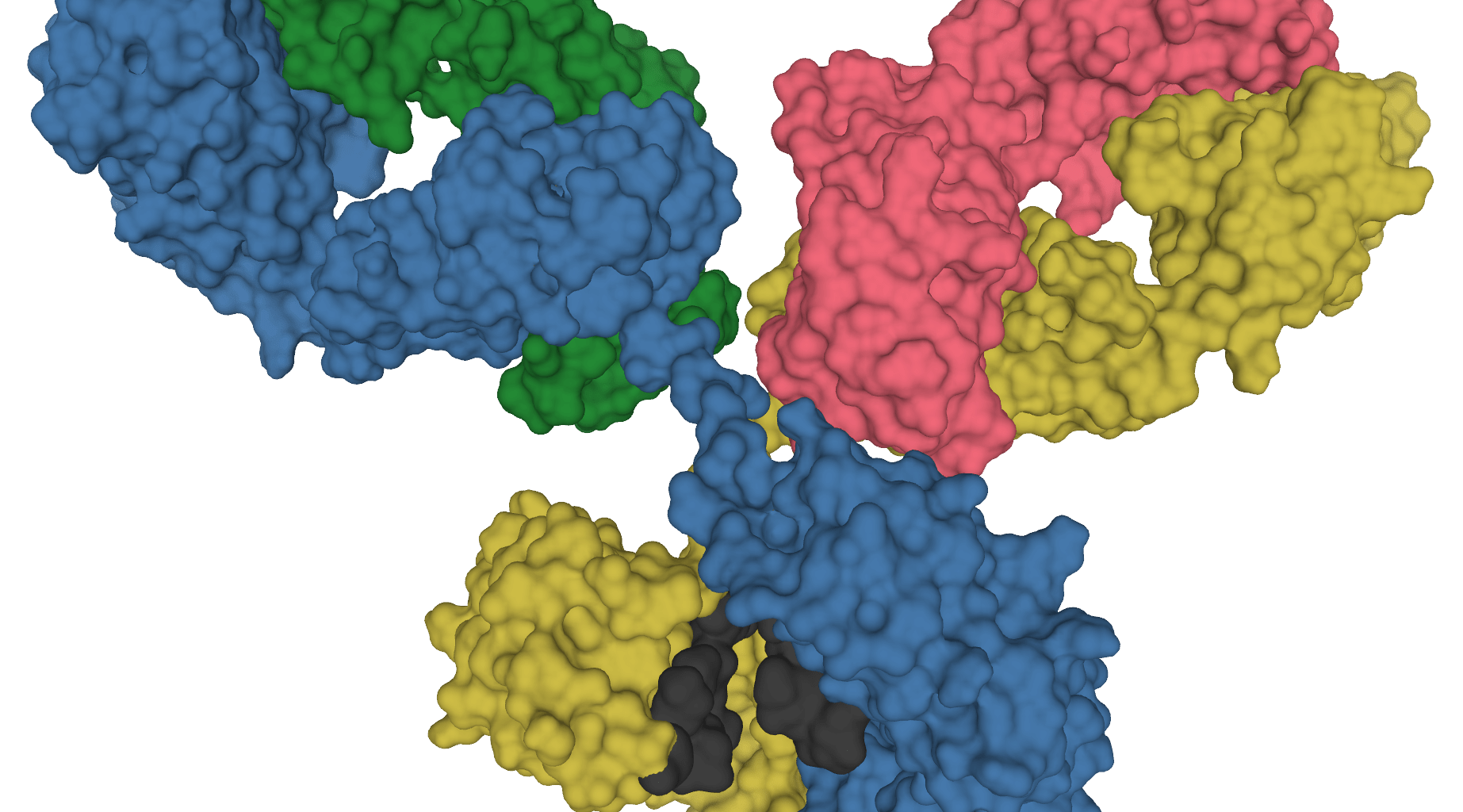 Antibody discovered that blocks almost all known HIV variants in neutralization assays