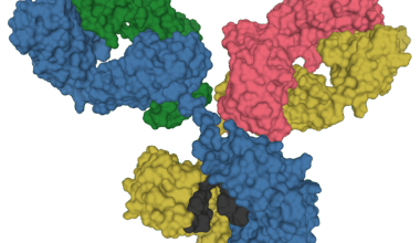 Antibody discovered that blocks almost all known HIV variants in neutralization assays