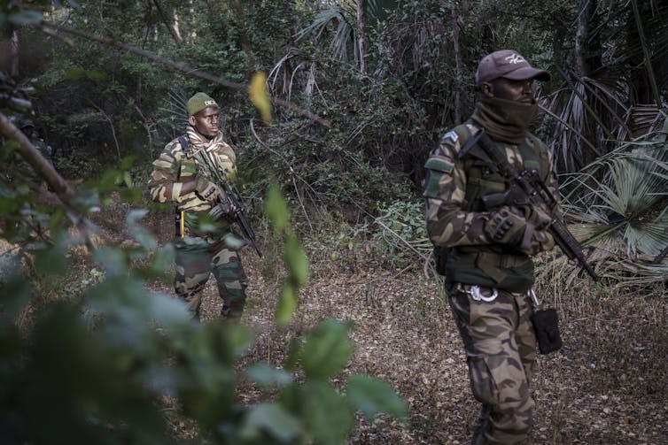Armed people in camouflage clothing walk through a wooded area.