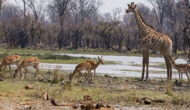Natural World Heritage sites under growing threat, but bright spots remain