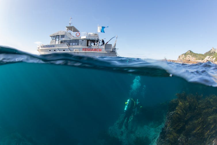 An image taken half underwater, showing a research vessel on the surface and a diver below, exploring a rocky reef