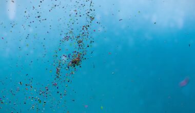 Scientists have puzzled over what happens to plastic as it breaks down in the ocean – our new study helps explain the mystery