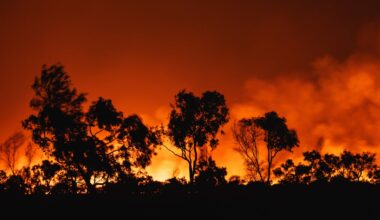 In 2024, the climate crisis worsened in all ways. But we can still limit warming with bold action