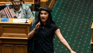 Te Pāti Māori MP named as one of the world's 'most influential rising stars'