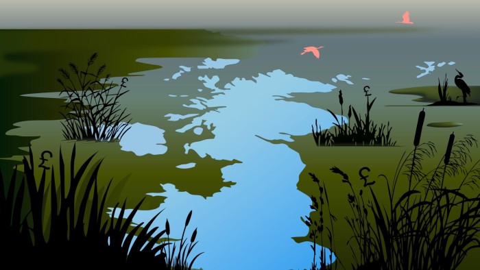 An illustration showing a wetland with water shaped like the UK map, surrounded by plants featuring pound signs