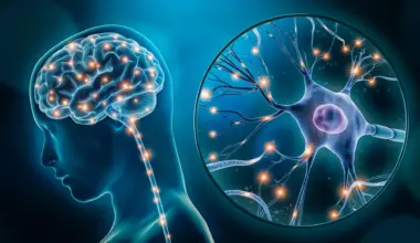 For the first time, scientists pinpoint brain cells linked to depression