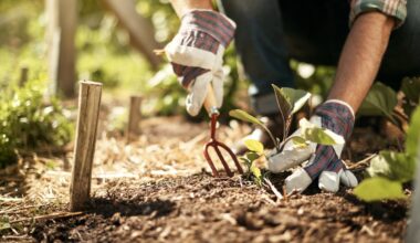 The best books to buy a keen gardener this festive season