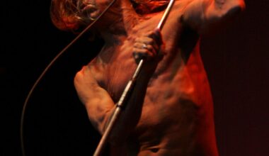 Iggy Pop, Joan Jett on concert bill