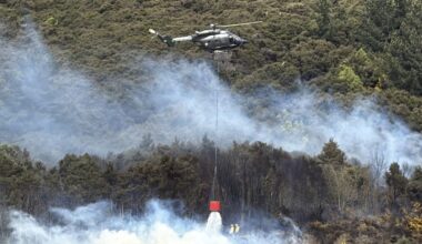 Vegetation fire threatened structure near Waitati