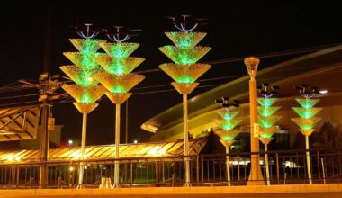 Glowing Silicon Forest in American city