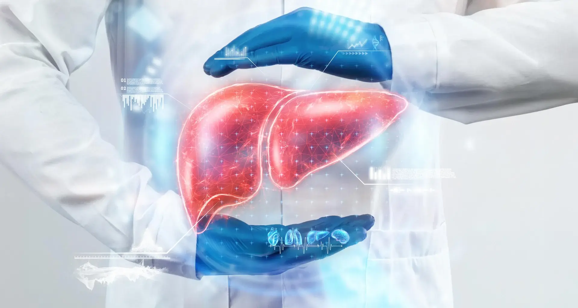 Two common drugs could reverse fatty liver disease