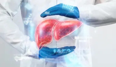 Two common drugs could reverse fatty liver disease