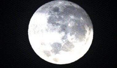 Supermoon set to put on a show tonight