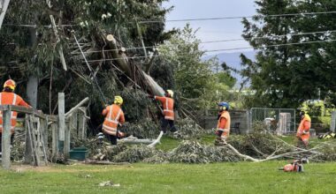 Fifty properties still without power in Dunedin