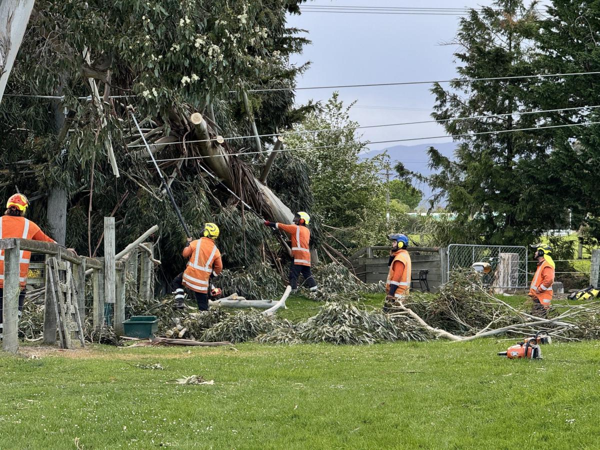 Fifty properties still without power in Dunedin