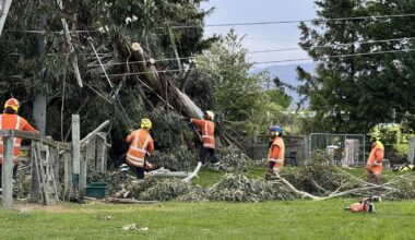 Power almost fully restored in Dunedin
