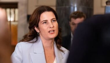 Willis urges Greens to 'call off' protesters outside Peters' home