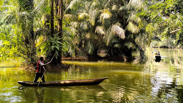 The remote isle where pygmy hippos roam