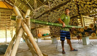 The bamboo buildings that sway in earthquakes
