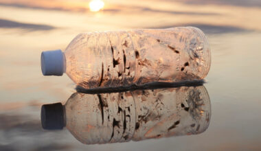 Mystery of The Ocean's Missing Plastic a Step Closer to Being Solved : ScienceAlert