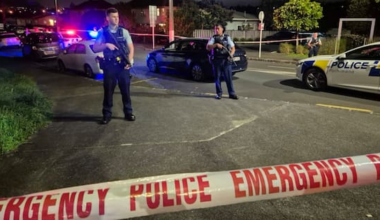 Kayden Stanaway pleads guilty to murdering Maxwel-Dee Repia