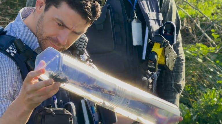 Police uncovered the machete under vegetation in a Glen Innes reserve.