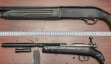 High-profile Dunedin man jailed over guns and drugs