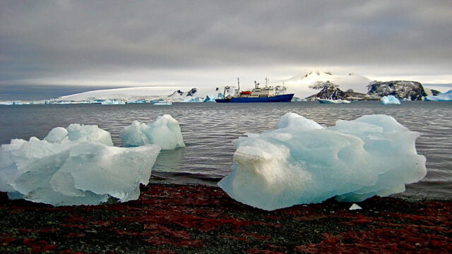 Chunks of sea ice on the shore